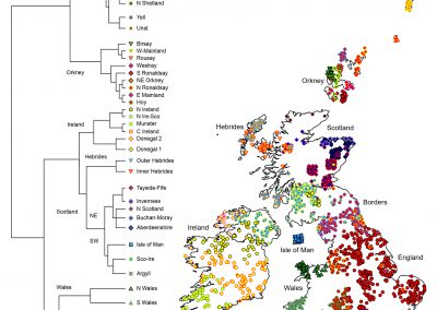 Researchers connect Irish and Scottish genetic maps