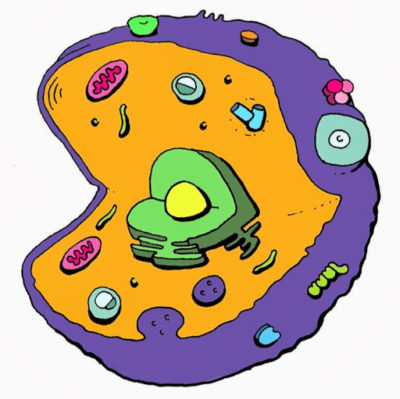 Cell explorers logo