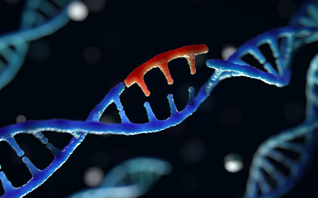 FutureNeuro partners with STORM Therapeutics to explore the role of RNA epigenetics in epilepsy