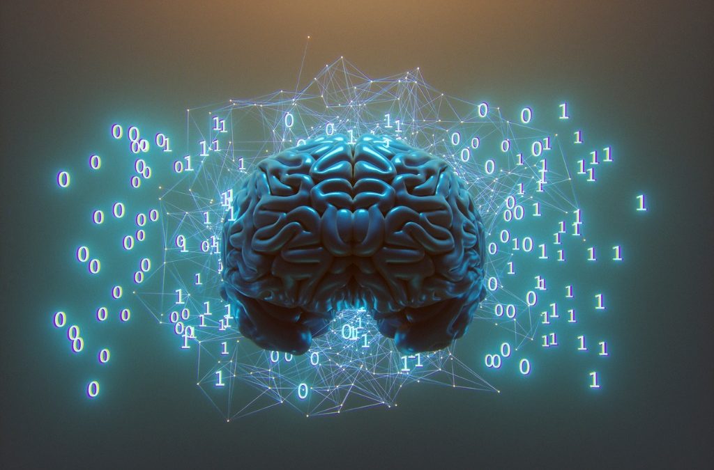 €4.7m awarded to Irish universities in global drive to train data analysts for neuroscience