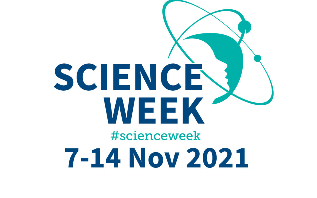 FutureNeuro Science Week Diary 2021